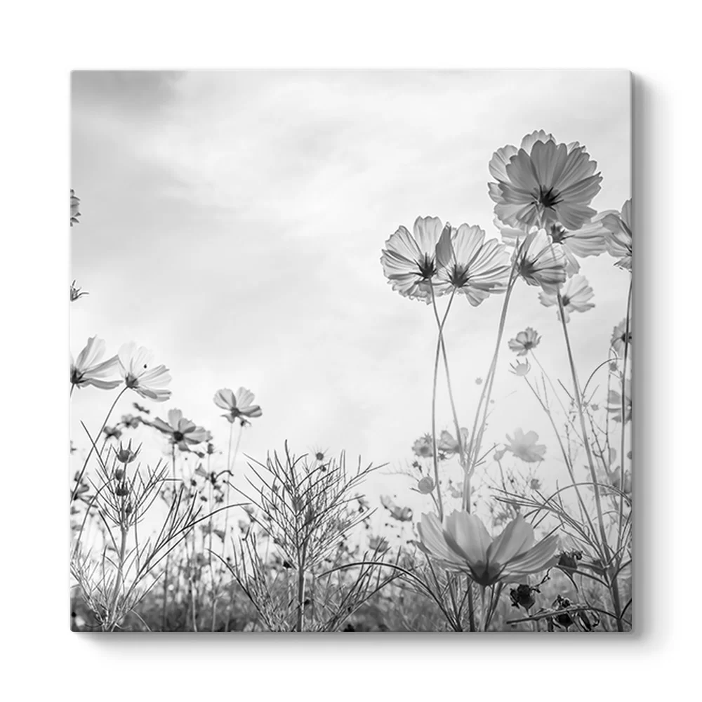 Cosmos Çiçeği Kanvas Tablo - Model 3